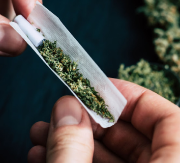 Cannabis