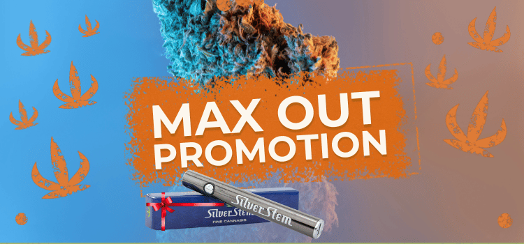 Max out promotion. Silver Stem battery