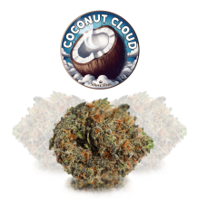 Coconut Cloud | Indica-Hybrid