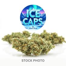 Ice Caps | Hybrid