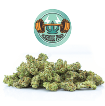 Incredible Power CBD 1:1 Popcorn | Indica-Hybrid