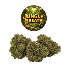 Jungle Breath | Hybrid