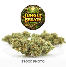 Jungle Breath | Hybrid
