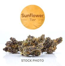 Sunflower Lamb's Breath | Sativa-Hybrid