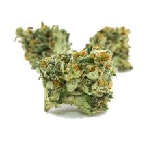 True OG cannabis pot weed strain