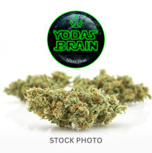 Yoda's Brain | Sativa-Hybrid