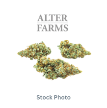 Alter Farms | Lemon Sour Diesel Sativa-Hybrid