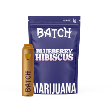 Batch All In One | Blueberry Hibiscus 1g Rec
