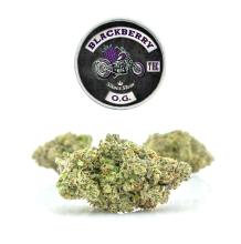 Blackberry OG | Indica-Hybrid