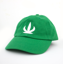 Cactus Dad Hat | Green O/S