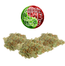 Cherry Lime Haze | Sativa-Hybrid