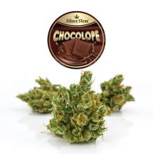 Chocolope | Sativa