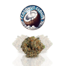 Coconut Cloud | Indica-Hybrid
