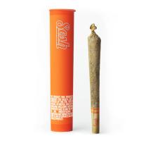Craft 710 Sesh Infused Cone | Apricot Scone x Mac1 0.75g Rec