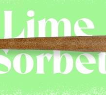 Doinks Infused Blunt | Lime Sorbet 1g Med
