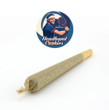 Headband Cookies Preroll | Hybrid