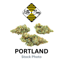 Killa Beez | Variety Preroll 6-Pack
