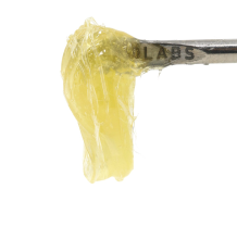 710 Labs Persy Live Rosin | Piescream #7 1g Rec