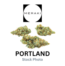 Meraki Infused Preroll | Gasoline Zest #5 1g