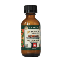 Mule Quadshine | 1:1:1:1 Strawberry Lemonade 1000mg