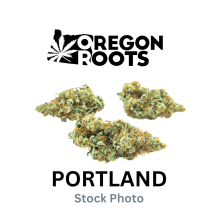 Oregon Roots | Alien Dreams Sativa Preroll 1g