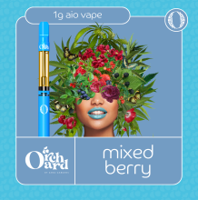 Sano Gardens Orchard All In One | Mixed Berry 1g Rec