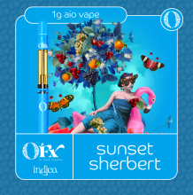 Sano Gardens Orchard FX All In One | Sunset Sherbet 1g Rec