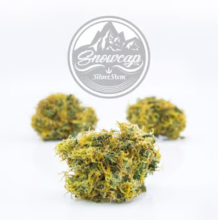 Snowcap | Sativa