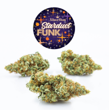 Stardust Funk | Hybrid