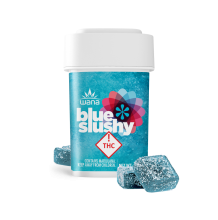 Wana Classic Gummies | Blue Slushy 100mg Rec