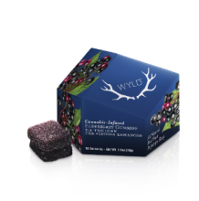Wyld Gummies | CBN Elderberry 100mg