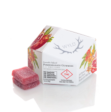 Wyld Gummies | Huckleberry Hybrid 100mg