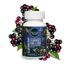 Wyld Hemp Gummies | Blackberry 500mg