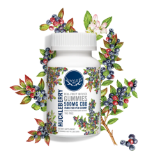Wyld Hemp Gummies | Huckleberry 500mg