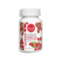 Wyld Hemp Gummies | Raspberry 500mg