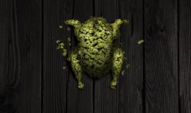 Danksgiving Guide: Simple, Fun Ways to Enjoy the Holiday Responsibly