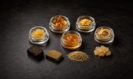 Cannabis Concentrates Explained in Plain English