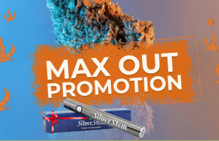 Max out promotion. Silver Stem battery