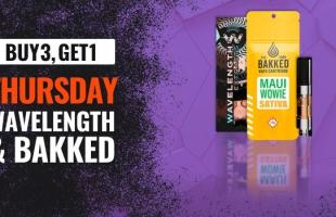 Wavelength & Bakked December 2025