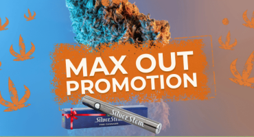 Max out promotion. Silver Stem battery