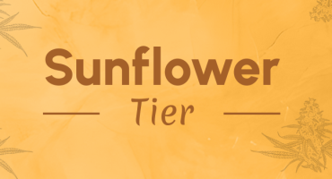 Sunflower Tier