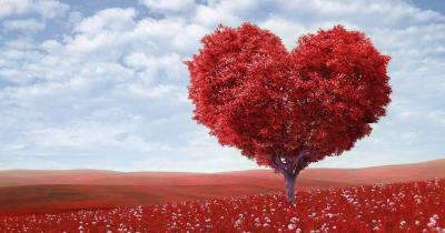 Top 5 Fresh Valentine’s Day Ideas and Strain Recommendations for 2020