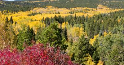 Where NOT to Consume Cannabis in Colorado