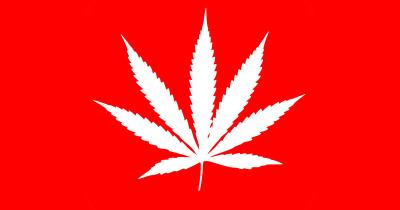 The Evolution of Cannabis Prohibition in the United States