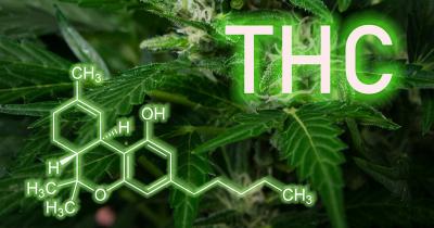 THC Cannabinoid