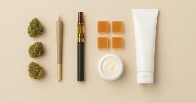 Cannabis 101: A Comprehensive Beginner’s Guide