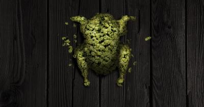 Danksgiving Guide: Simple, Fun Ways to Enjoy the Holiday Responsibly