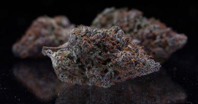 Cap Junky Strain Review: The Frosty Hybrid That Delivers on Every Level