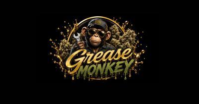 Grease Monkey Strain Review: Sweet Flavor, Sticky Buds, and Deep Relaxation